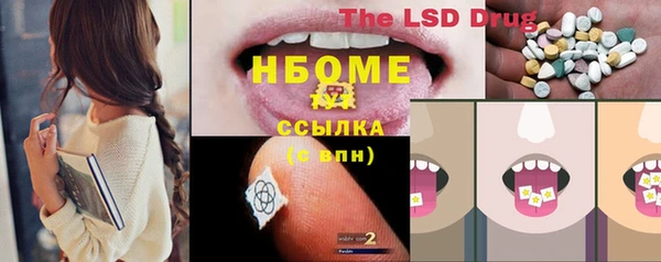 гидропоника Горняк