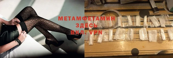 прущие грибы Тайга