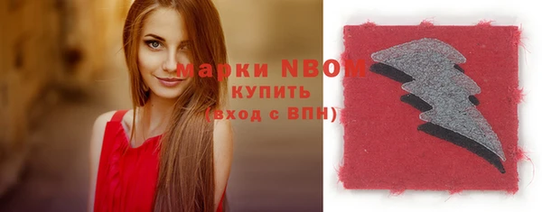 гидропоника Горняк