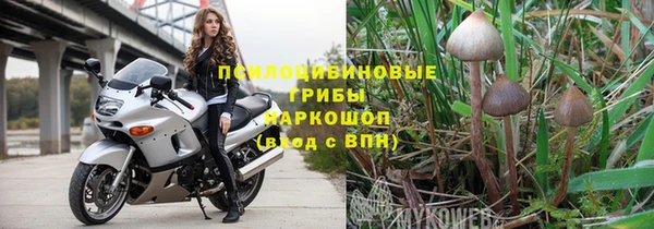 гашик Горно-Алтайск