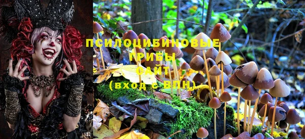 гидропоника Горняк