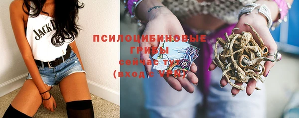 гашик Горно-Алтайск