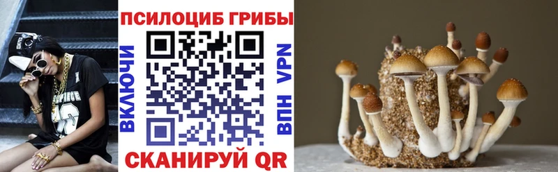 где купить наркотик  Каневская  Псилоцибиновые грибы прущие грибы 